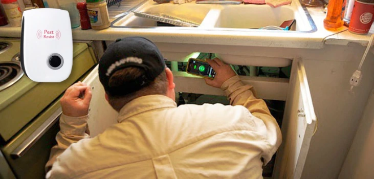 Pest Resister guy searching for pests in kitchen